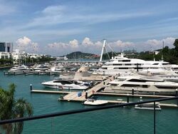 Reflections At Keppel Bay (D4), Condominium #567750571